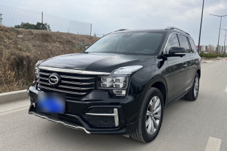 广汽传祺 传祺GS8 2020款 390T 两驱尊贵版（七座）