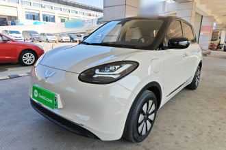 五菱汽车 五菱缤果 2024款 333km 灵犀互联款