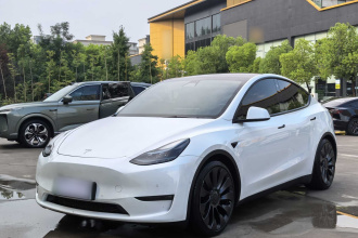 特斯拉 Model Y 2022款 Performance高性能全轮驱动版