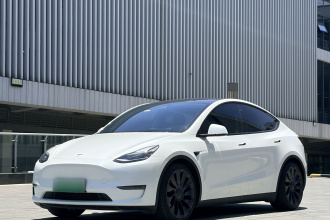 特斯拉 Model Y 2021款 Performance高性能全轮驱动版