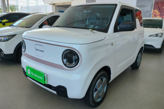 吉利银河 2023款 熊猫mini 200km 耐力熊