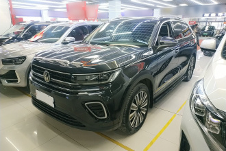 大众 揽巡 2023款 330TSI 豪华巡逸版