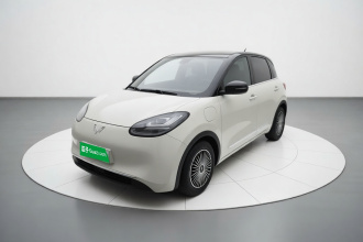 五菱汽车 五菱缤果 2023款 333km 灵犀互联+款