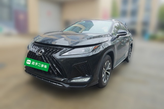 雷克萨斯RX 2020款 300 两驱舒适版 国VI