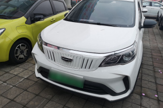 吉利几何 EX3 功夫牛 2021款 坚强牛牛