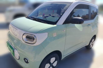 五菱汽车 宏光MINIEV 2024款 第三代 215km 青春版