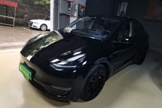 特斯拉 Model Y 2021款 标准续航后驱版