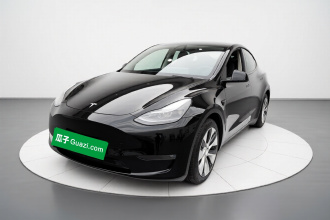 特斯拉 Model Y 2021款 标准续航后驱版