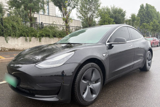 特斯拉 Model 3 2019款 标准续航后驱升级版