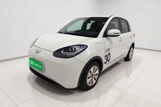 五菱汽车 五菱缤果 2023款 333km 快享款