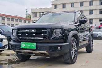 哈弗大狗 2021款 1.5T DCT两驱边牧版