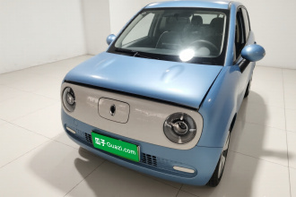 欧拉黑猫 2021款 301km 基础型