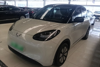 五菱汽车 五菱缤果 2024款 333km 灵犀互联款