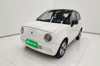 欧拉黑猫 2019款 301km 标准版