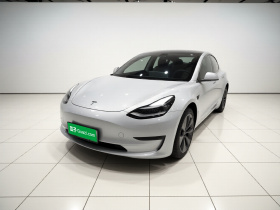 特斯拉 Model 3(进口) 2019款 标准续航后驱升级版