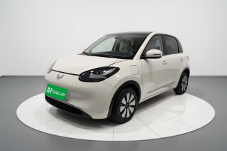 五菱汽车 五菱缤果 2023款 333km 悦享款