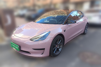 特斯拉 Model 3 2022款 后轮驱动版