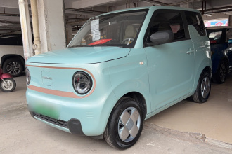 吉利银河 2024款 熊猫mini 200km 耐力熊