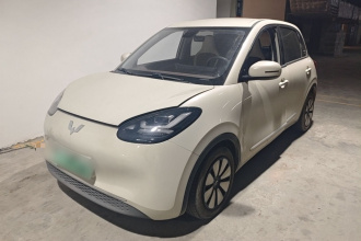 五菱汽车 五菱缤果 2023款 203km 舒享款