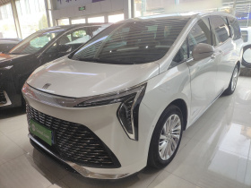 别克 世纪 2023款 2.0T 六座蕴世版