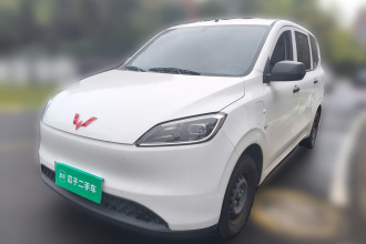 五菱汽车 五菱宏光新能源 2024款 纯电版 300KM 实用型