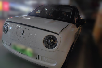 欧拉黑猫 2021款 301km 基础型