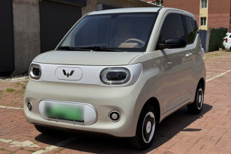 五菱汽车 宏光MINIEV 2024款 第三代 215km 青春版