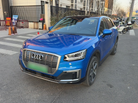 奥迪Q2L e-tron 2019款 Q2L e-tron 纯电智享型