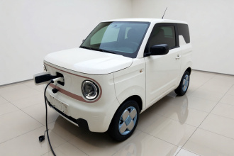 吉利银河 2023款 熊猫mini 120km 萌萌熊