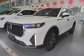 奔腾T99 2022款 20TD 自动运动尊享型