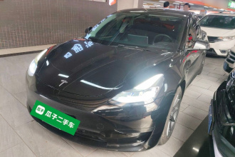 特斯拉 Model 3 2021款 标准续航后驱升级版 3D6
