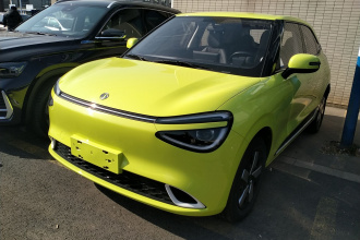 东风纳米 纳米01 2024款 330 Air