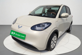 五菱汽车 五菱缤果 2025款 203km 轻享款