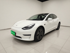 特斯拉 Model 3(进口) 2019款 标准续航后驱升级版