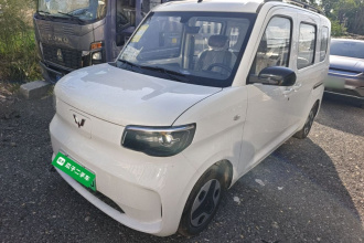 五菱汽车 五菱之光新能源 2025款 305km 进取型
