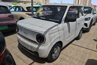 吉利银河 2024款 熊猫mini 200km 耐力熊