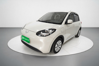 五菱汽车 五菱缤果 2023款 333km 快享款