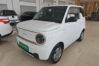 吉利银河 2023款 熊猫mini 200km 耐力熊