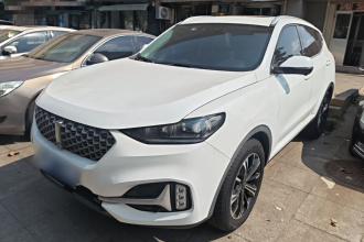 魏牌 VV6 2021款 2.0T 两驱智享+