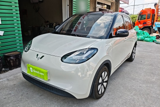 五菱汽车 五菱缤果 2024款 333km 悦享款