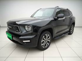 哈弗大狗 PLUS 2023款 1.5T 两驱潮野版Plus