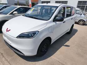 五菱汽车 五菱宏光新能源 2024款 纯电版 300KM 标准型