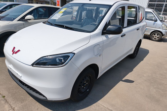 五菱汽车 五菱宏光新能源 2024款 纯电版 300KM 标准型