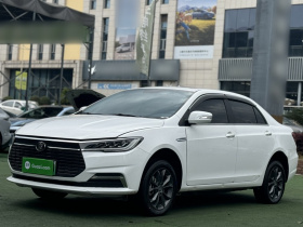 比亚迪 秦新能源 2021款 出行版