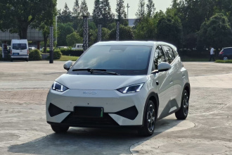 比亚迪 海鸥 2025款 智驾版 305km 自由版