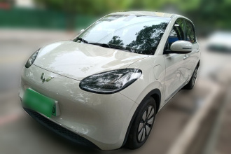 五菱汽车 五菱缤果 2023款 333km 灵犀互联+款