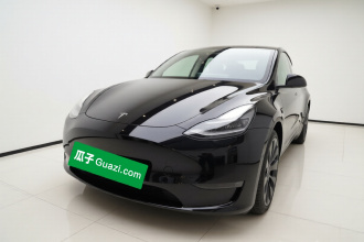 特斯拉 Model Y 2021款 Performance高性能全轮驱动版