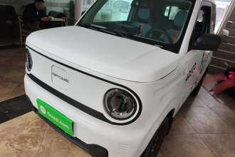 吉利银河 2023款 熊猫mini 200km 耐力熊