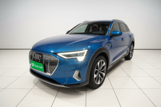 奥迪e-tron(进口) 2019款 55 quattro 全球限量版Edition 1