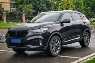 魏牌 VV6 2018款 2.0T 两驱旗舰型 国V